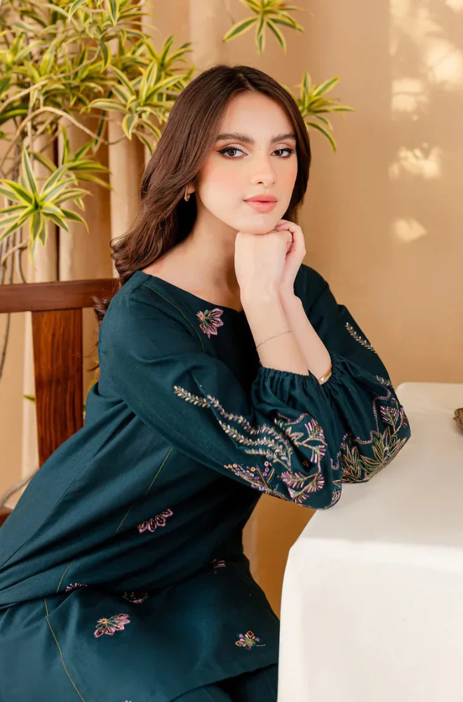 Dhanak 2PC Embroidered-112