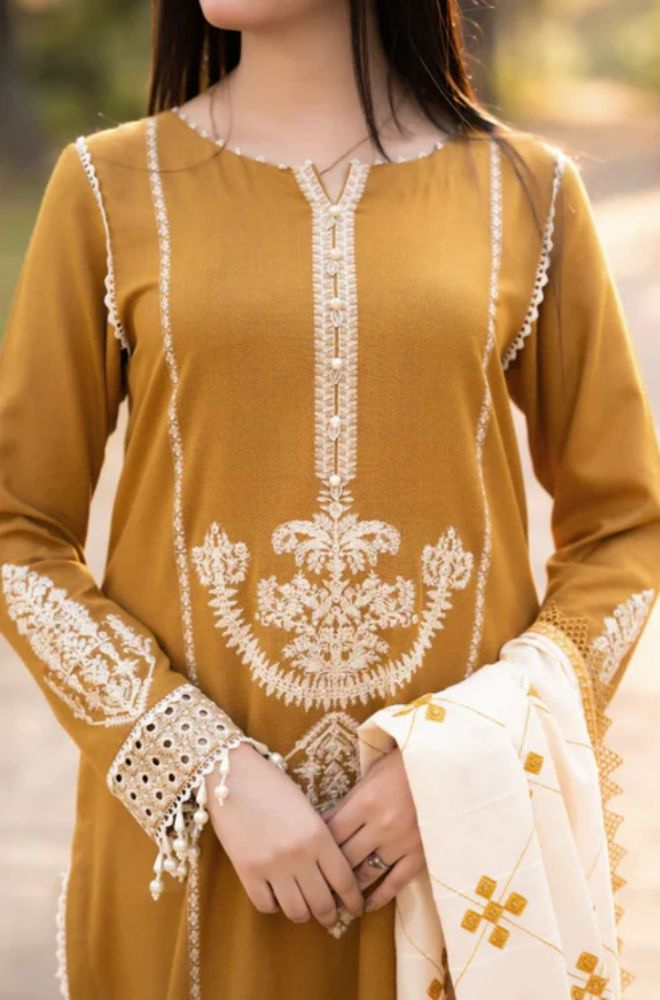 ZARA ( DHANAK )