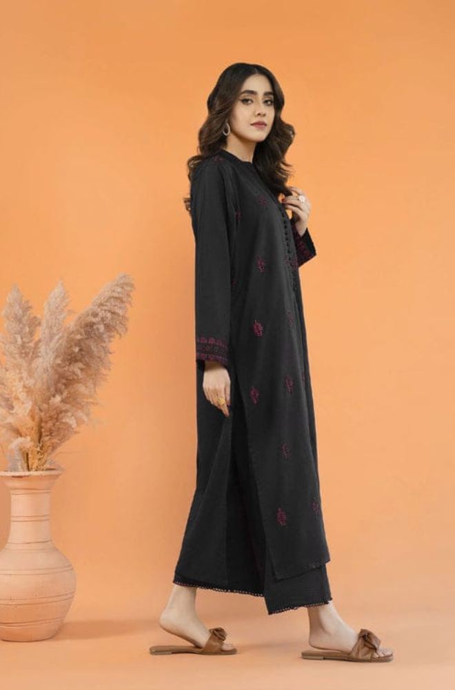 Dhanak-2pc Embroidered-3499