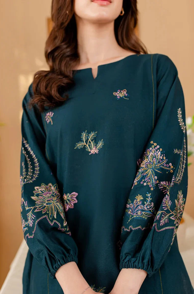 Dhanak 2PC Embroidered-112