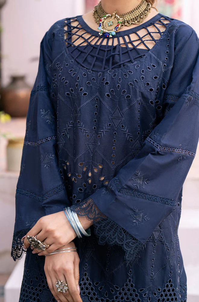 3PC Chikankari Dhanak Embroidered With Digital Printed Wool Shawl-118